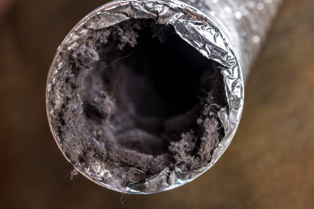 Best Commercial Air Duct Cleaning  in Fairview Park, IN