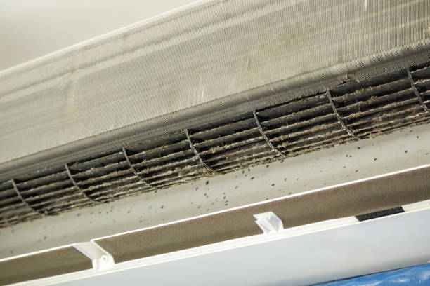 Best General Air Duct Cleaning  in Fairview Park, IN