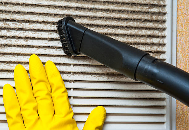 Best Air Duct Sanitizing Services  in Fairview Park, IN